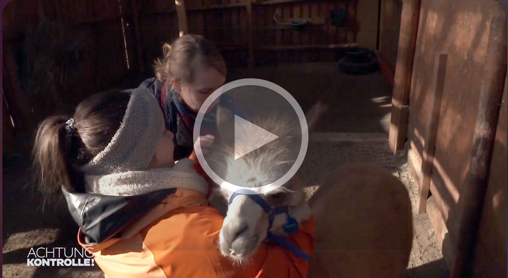 video alpaka impfen